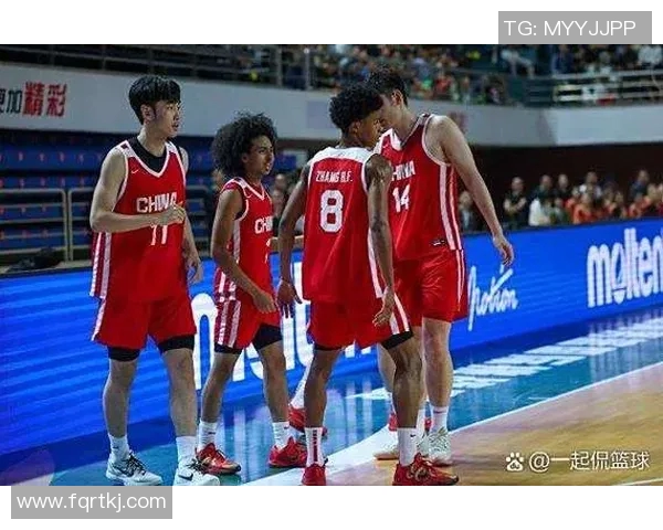 中国男篮精彩对决喀麦隆全场录播回顾与精彩瞬间分析